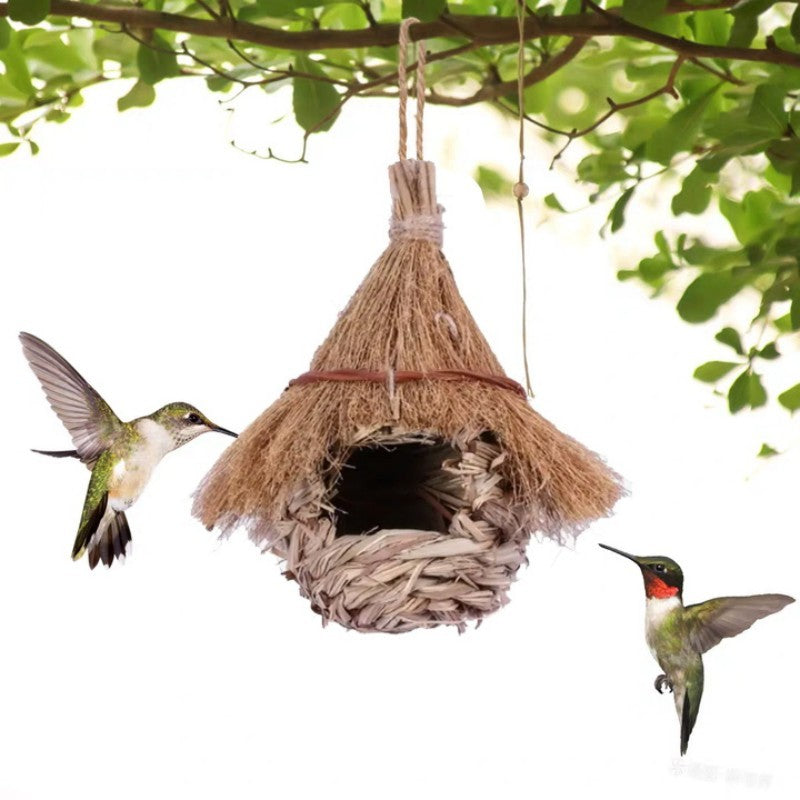 Pointed Bird Nest