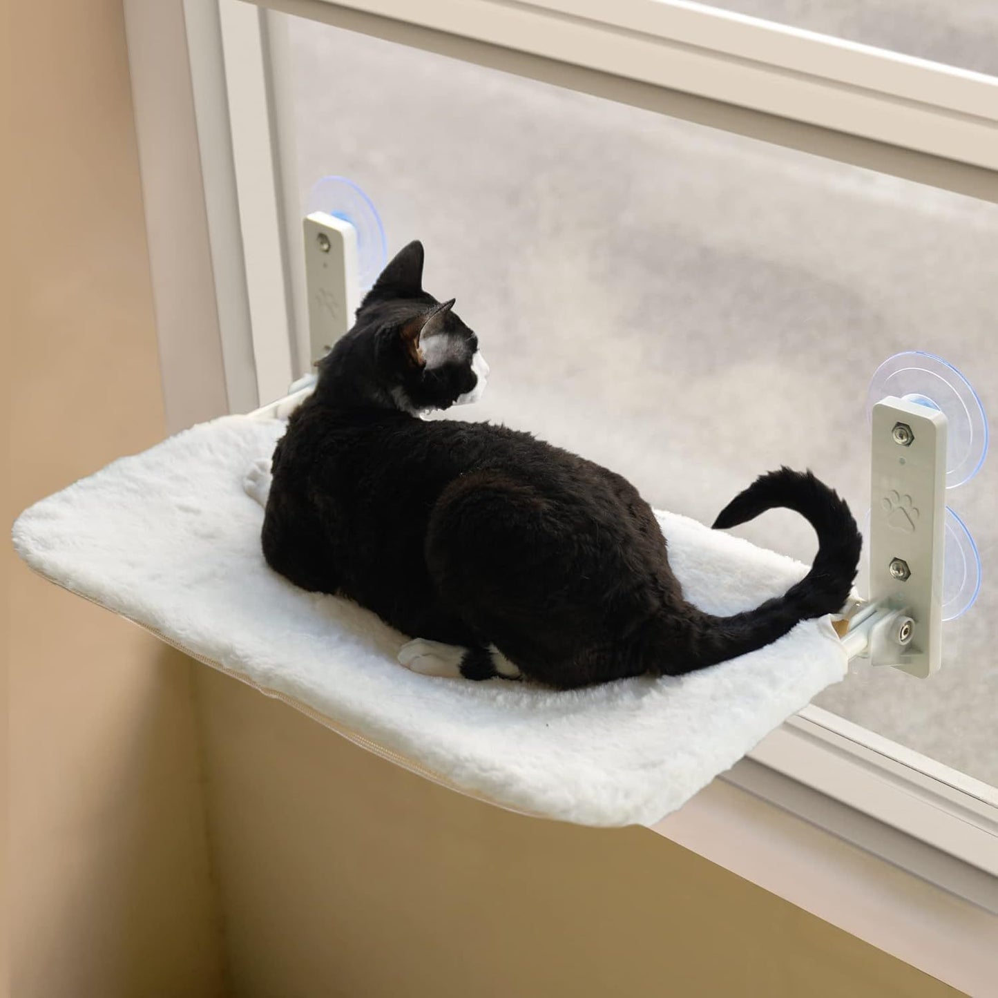 MEWOOFUN Cat Window Perch Hammock With Steel Frame And Strong Suction Cups Washable Cat Bed Seat For Indoor Cats White Medium