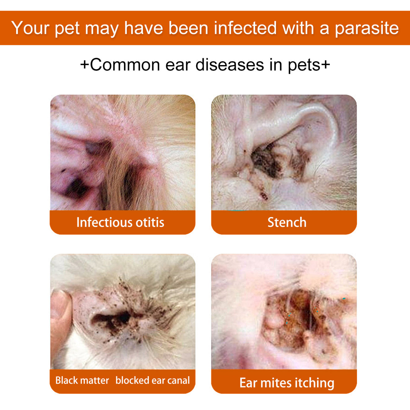 Yegbong Pet Ear Wipes Pet Ear Cleaning Anti-Odor Anti-Ear Mite Earwax Cleaning Wipes