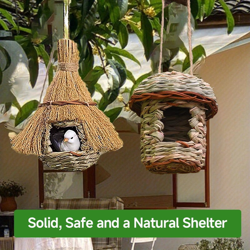 Pointed Bird Nest