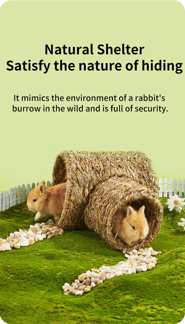 Small Pet Tunnel