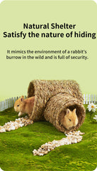 Small Pet Tunnel