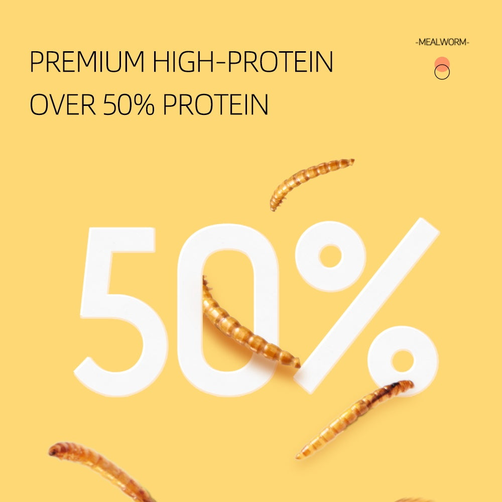 Small Pet Mealworm Dried 5g