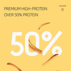 Small Pet Mealworm Dried 5g