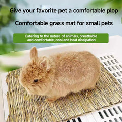 Pet Cushion