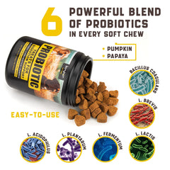Probiotics For Dogs Support Gut Health Itchy Skin Allergies Yeast Balance Immunity Dog Probiotics And Digestive Enzymes For Small Medium And Large Dogs 180 Probiotic Chews For Dogs Duck Flavor
