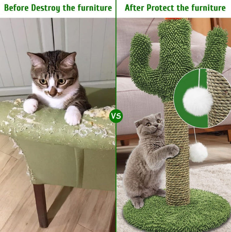 Cactus Cat Climbing Tree 2-in-1 - Solid Wood Base Natural Sisal Scratching Pillar With Hanging Ball Toy, Indoor Cat Multi-level Activity Center