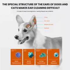 Yegbong Pet Ear Wipes Pet Ear Cleaning Anti-Odor Anti-Ear Mite Earwax Cleaning Wipes