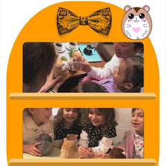 15CM Little Talking Hamster Toy