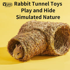 Small Pet Tunnel