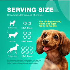 Do Not Sell On Amazon Probiotics For Dogs Support Gut Health Immunity Yeast Balance Itchy Skin Allergies Probiotics And Digestive Enzymes Coprophagia Deterrent For Dogs 180 Probiotic Chews For Dogs