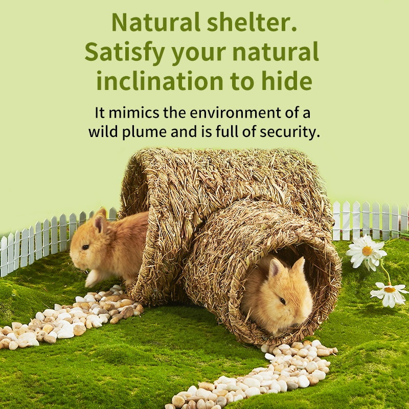 Small Pet Tunnel