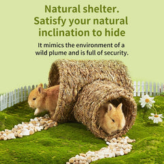 Small Pet Tunnel