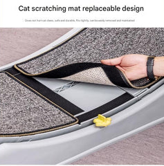 Cat Running Wheel