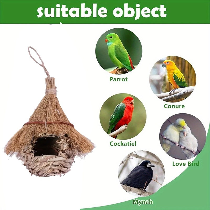 Pointed Bird Nest