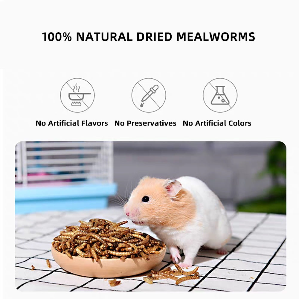 Small Pet Mealworm Dried 5g