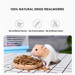 Small Pet Mealworm Dried 5g