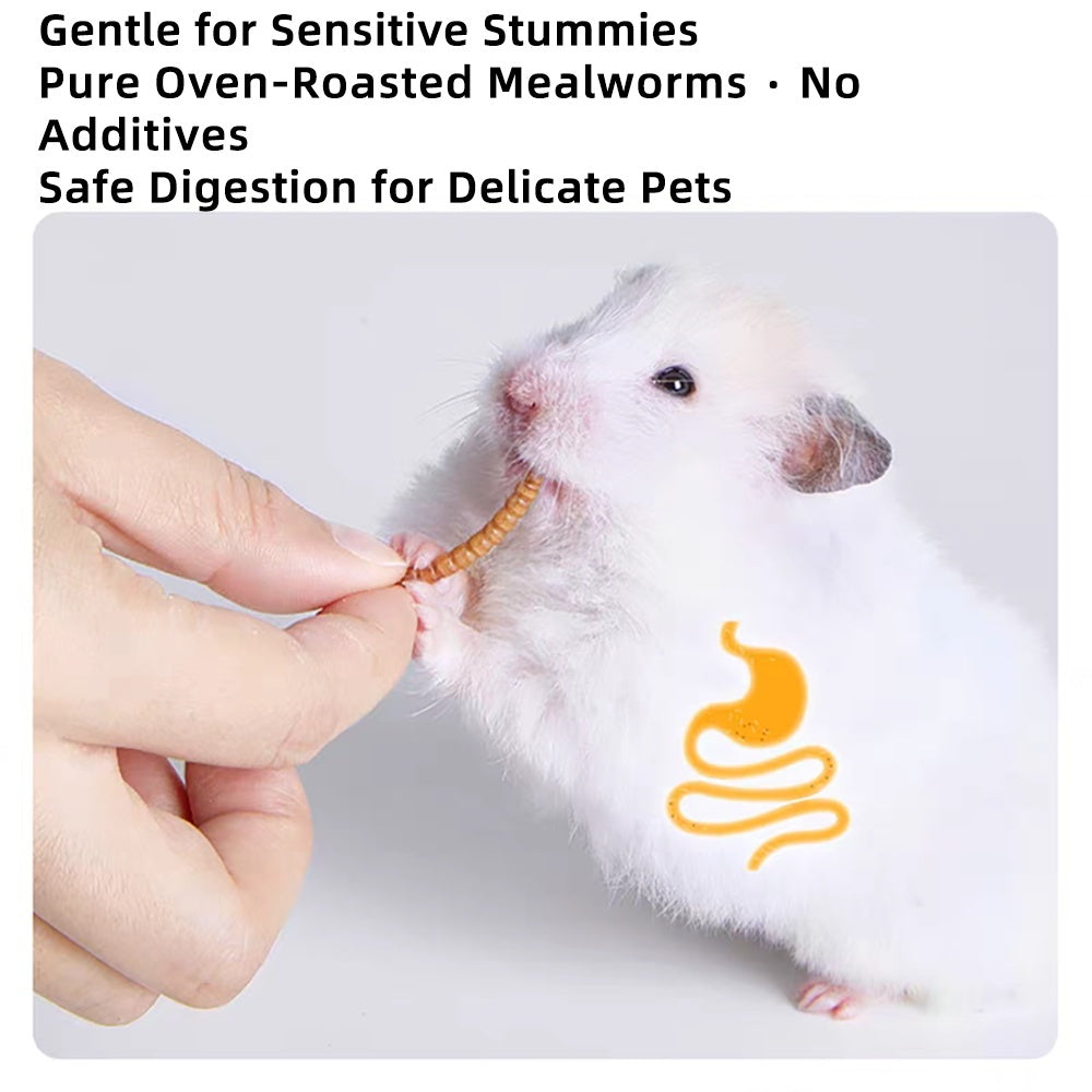 Small Pet Mealworm Dried 5g