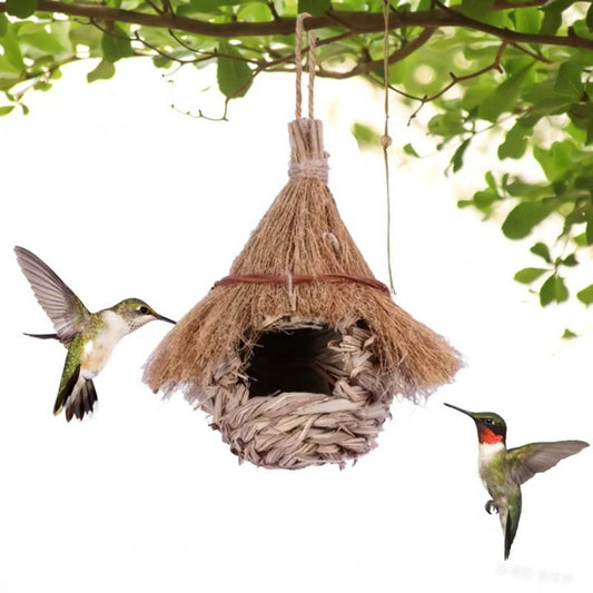 Pointed Bird Nest