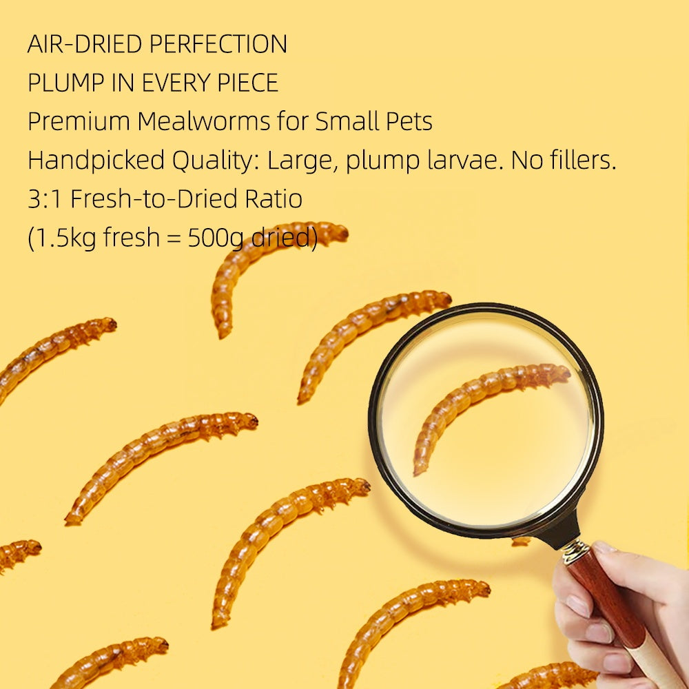 Small Pet Mealworm Dried 5g