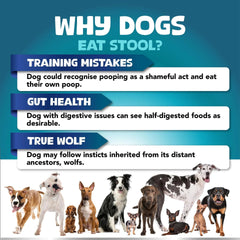 No Poo Chews For Dogs Stop Poop Eating Behavior Probiotics And Digestive Enzymes For Dogs Bad Breath Support For All Breeds Digestive And Gut Health Supplement 180 Soft Chews