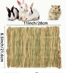 Pet Cushion