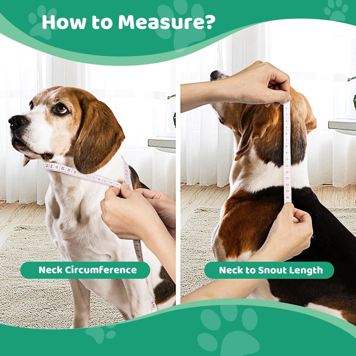 Pet Elizabethan Collar Single Layer M
