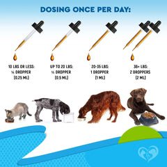 Kennel Cough Treatment Natural Infection Medicine For Dogs And Cats Respiratory Colds Cough Relief Collapsed Trachea And Cat Asthma Support