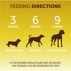 Scoot Stopper Soft Chews Fiber For Dogs Dog Anal Gland And Digestion Support Anal Gland Chews With Pumpkin And Psyllium Husk 180 Chewables For Dog Digestive Health