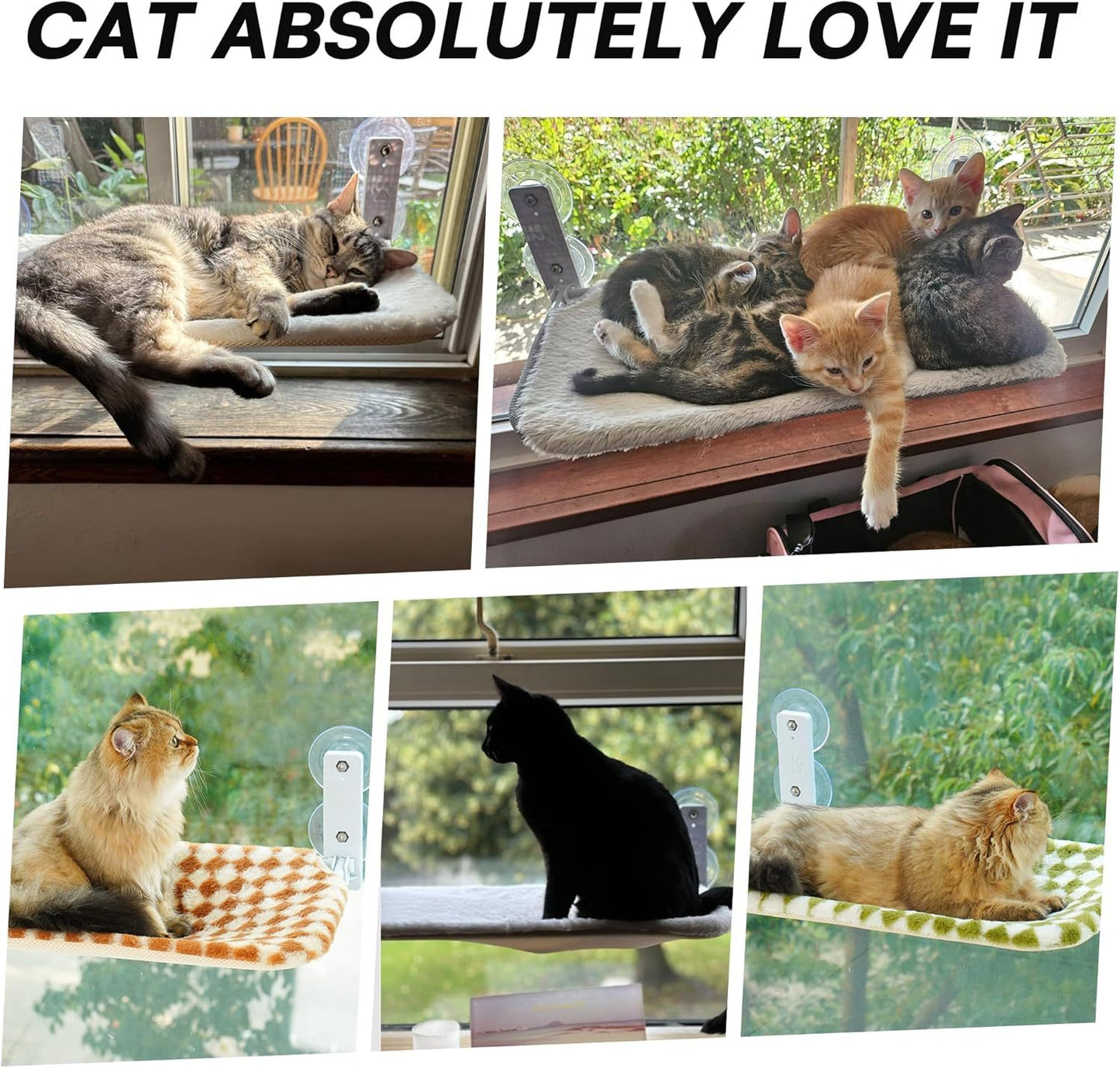 MEWOOFUN Cat Window Hammock - Steel Frame Perch With Strong Suction Cups For Indoor Cats Brown, Medium