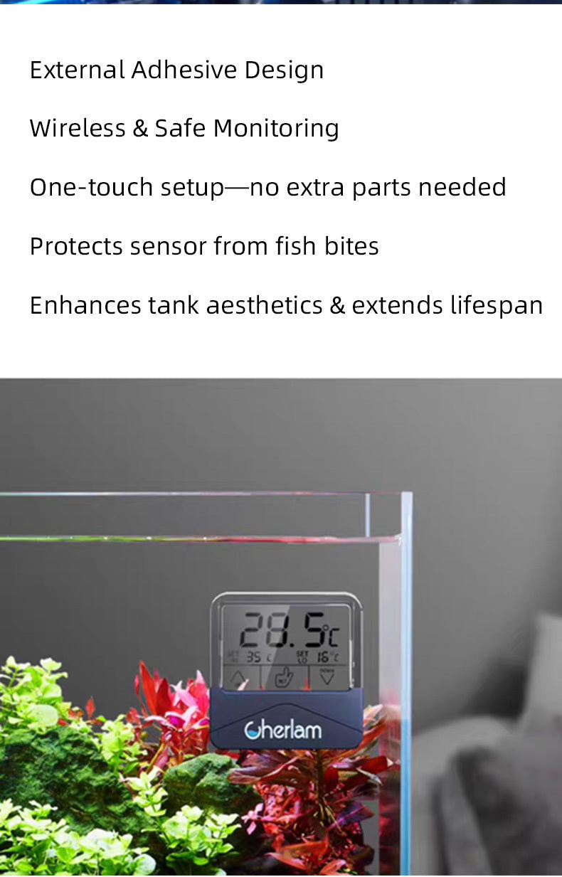 Cherlam LCD Thermometer