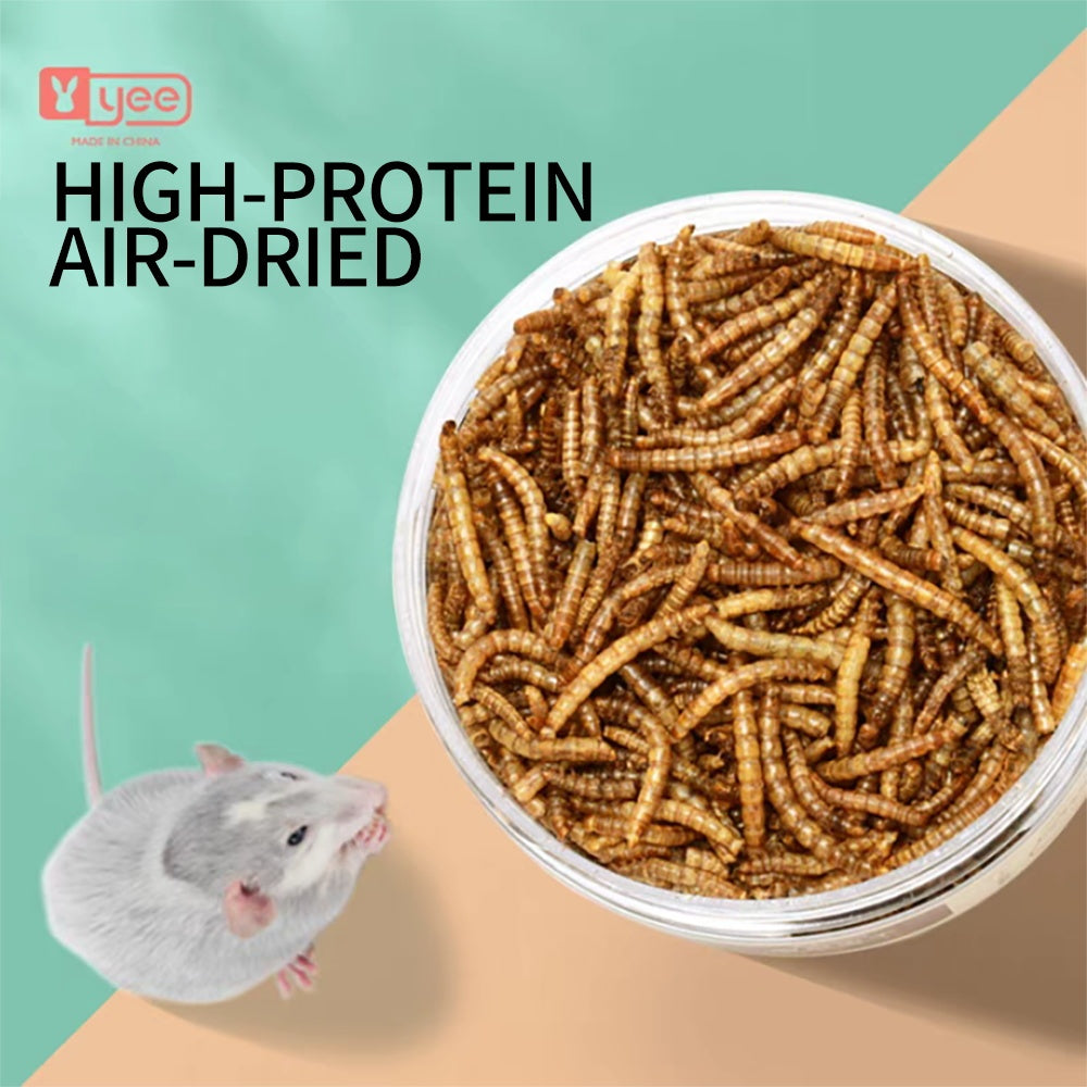 Small Pet Mealworm Dried 5g
