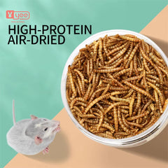 Small Pet Mealworm Dried 5g