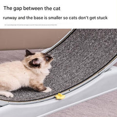 Cat Running Wheel