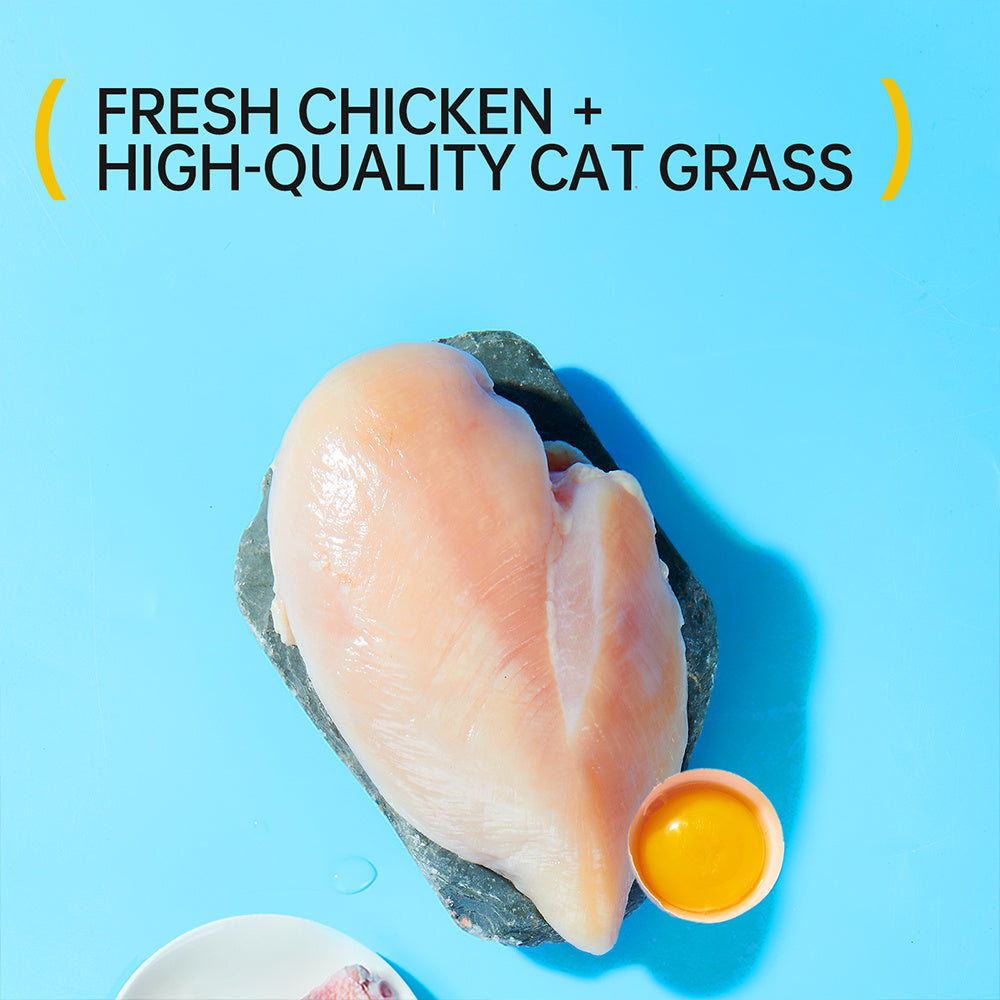 Coarse Cat Grass Stick 45g