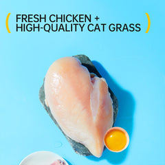 Coarse Cat Grass Stick 45g