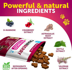 Do Not Sell On Amazon Dog UTI Treatment Cranberry Supplement Bladder Control Urinary Tract Infection Incontinence Pill Bladder Stones UTI Medicine Treats 70 Soft Chews For Kidney Support With Fish Oil