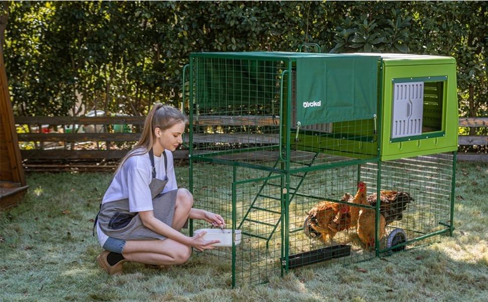 Airgu Style High Quality Garden Chicken Coop Chicken Pen