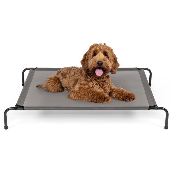 Pet Beds