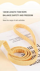 Cat Small Dog Wings Decoration Adjustable Chest Harness Leash Set Pet Supplies