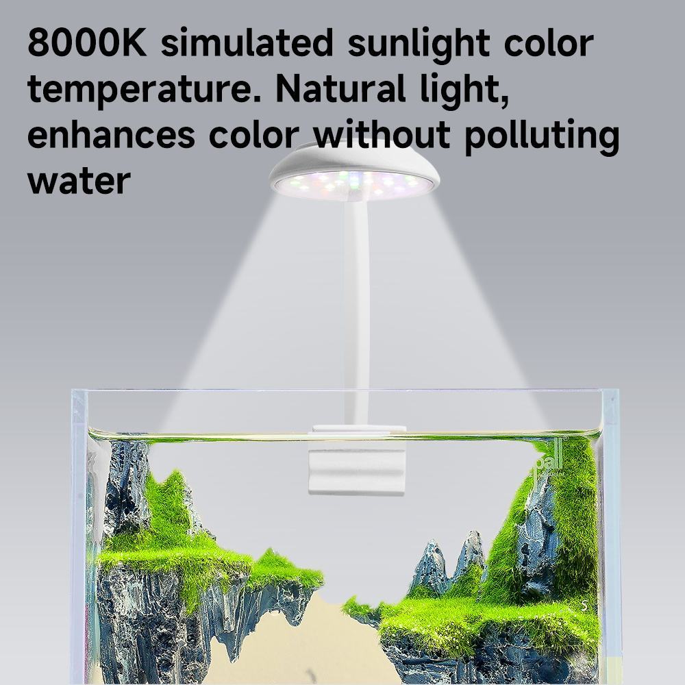 Round Head Small Clip Light Three Colors 3.5w White