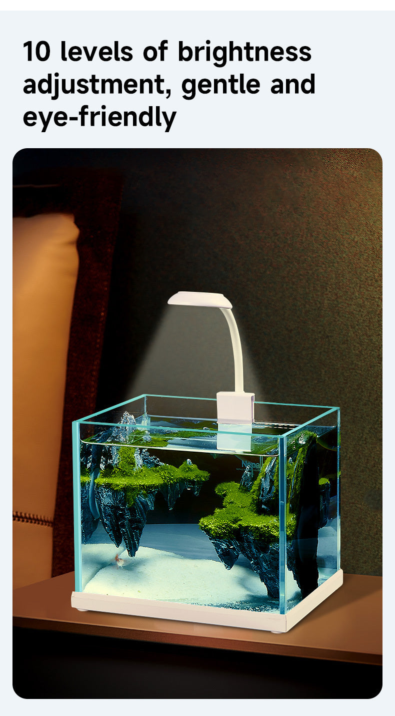Round Head Small Clip Light Three Colors 3.5w White