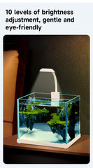 Round Head Small Clip Light Three Colors 3.5w White