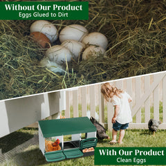 3-compartment Chicken Feeding Trough