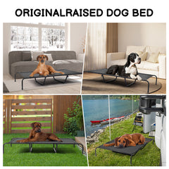 Pet Beds
