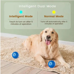 Blue And Orange Pet Bouncing Ball Fun Pet Bouncing Ball For Cats And Dogs