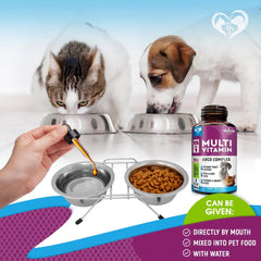 Cat And Dog Multivitamin Liquid With Glucosamine & Cranberry 15 In 1 Health Supplements For Urinary Tract Kidney Bladder Hip And Joint Skin And Coat 60 Ml