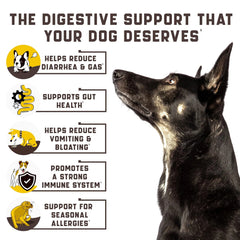 Probiotics For Dogs Support Gut Health Itchy Skin Allergies Yeast Balance Immunity Dog Probiotics And Digestive Enzymes For Small Medium And Large Dogs 180 Probiotic Chews For Dogs Duck Flavor