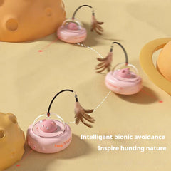 CAT Teasing Toys - Ideal For Fun And Engagement In Pets, Includes Various Interactive Toys For Dogs
