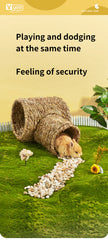 Small Pet Tunnel
